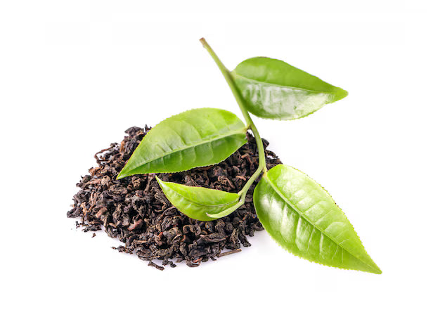 PATTI / GREEN TEA